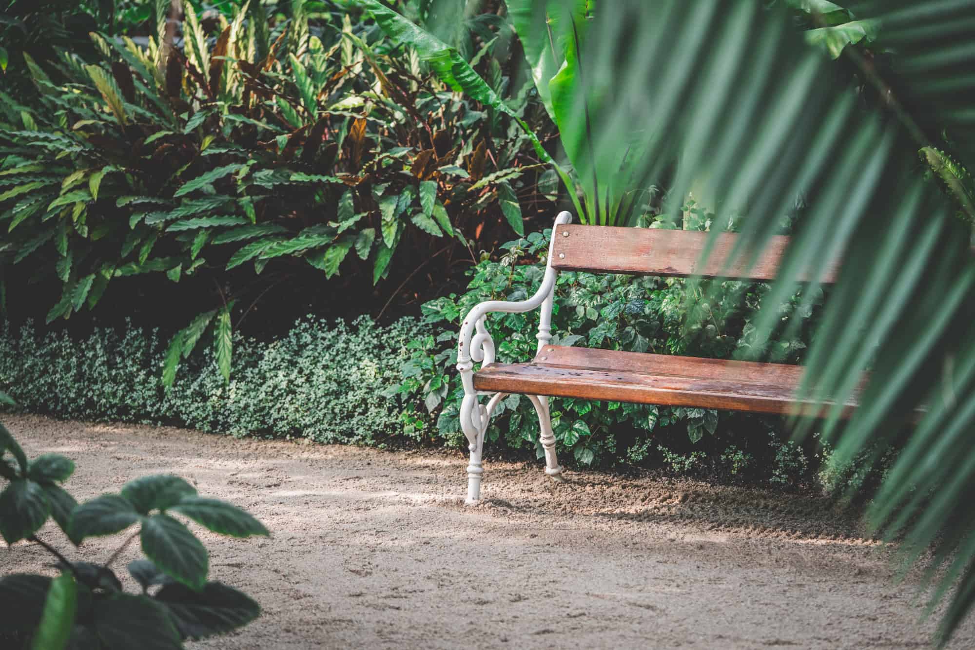 Een houten bank met sierlijke witte armleuningen staat in een weelderige, groene tuin omringd door verschillende planten en bladeren.